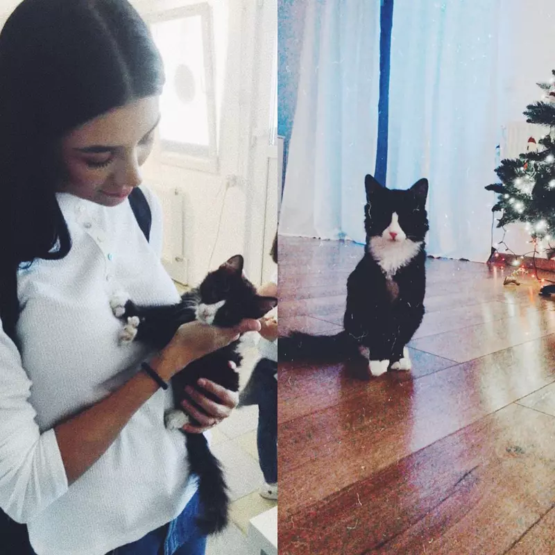 Cristina Ștefan și motanul Mike