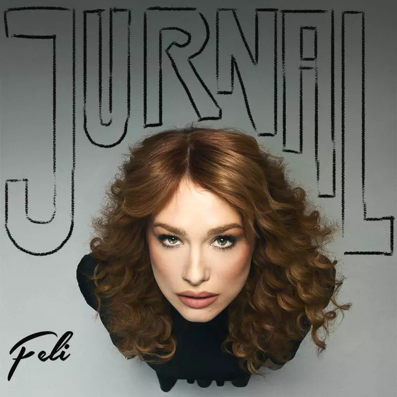 Feli – Jurnal_digital (2)