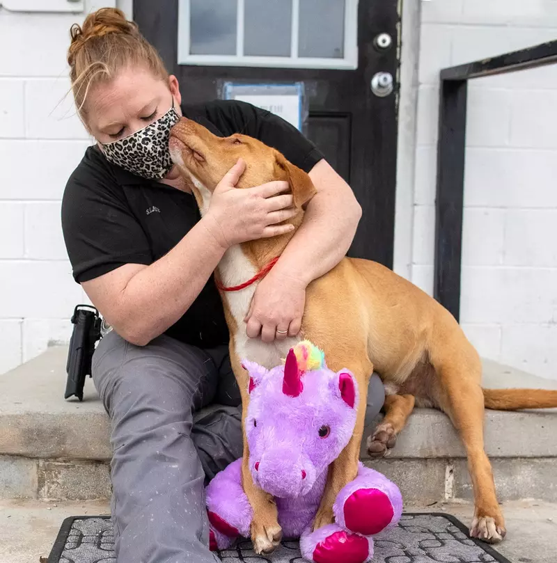 caine sisu jucarie unicorn agenta controlul animalelor