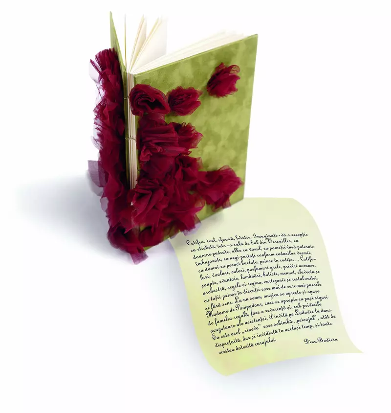 Agenda__coperti_lucrate_manual__pret_70_lei__artist_Dinu_Bodiciu.jpg