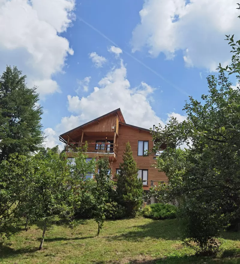 andreea-marin-casa-telega (4)