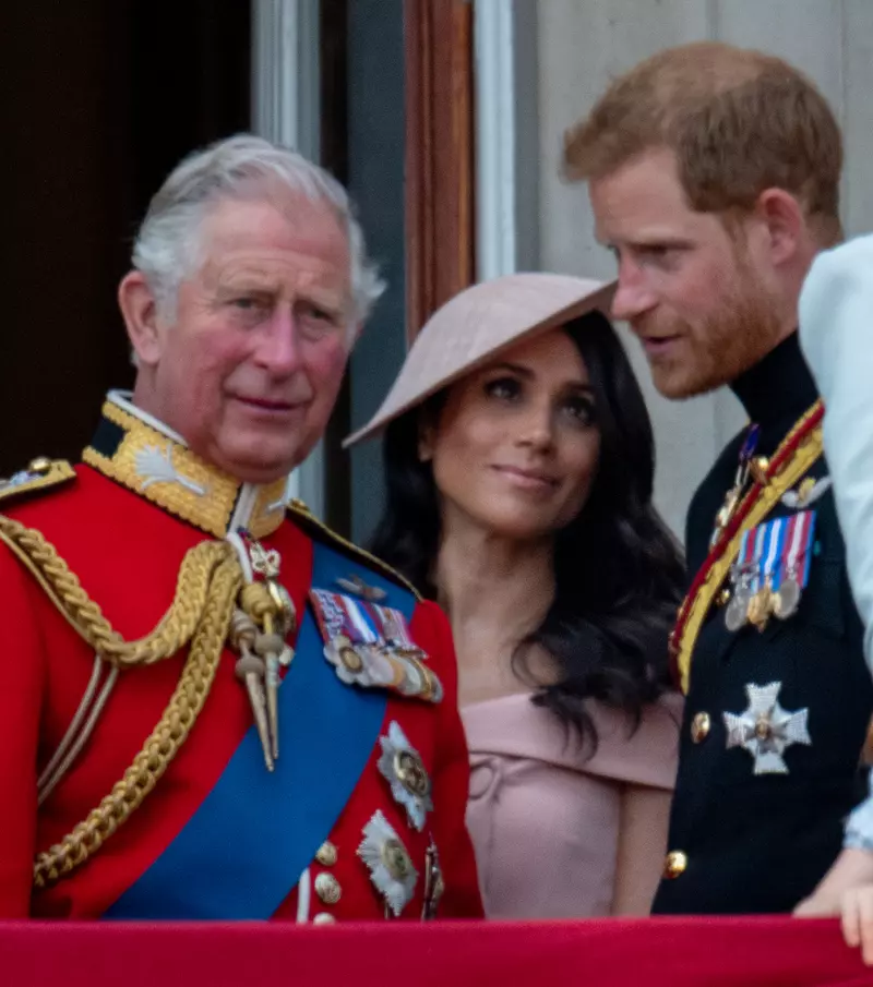 Regele Charles si ducii de Sussex Sursa Foto: Getty Images