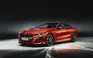 bmwseria8coupe53