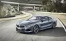 BMW 8001
