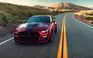 Ford Mustang Shelby GT500 3