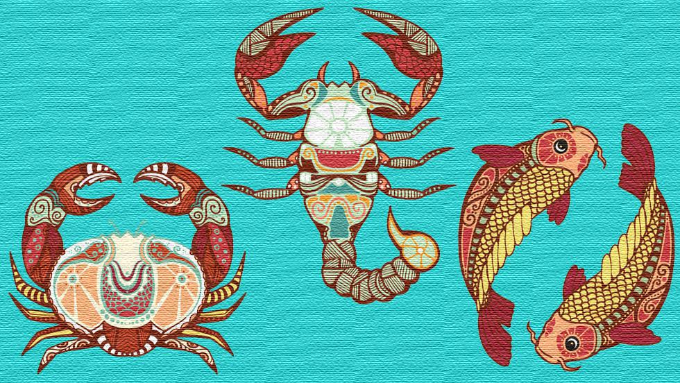 Influența Elementului Apă Asupra Zodiilor Rac Scorpion Pești
