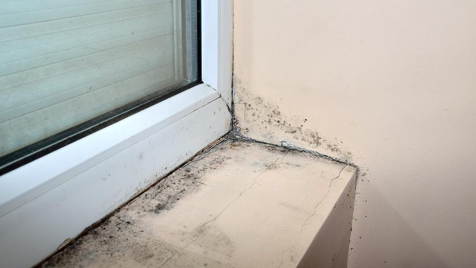 De Ce Apar Condensul și Igrasia In Colțurile Geamului Dacă Ai Termopan Diverse Avantaje Ro De 20 De Ani Pretuieste Femei Ca Tine