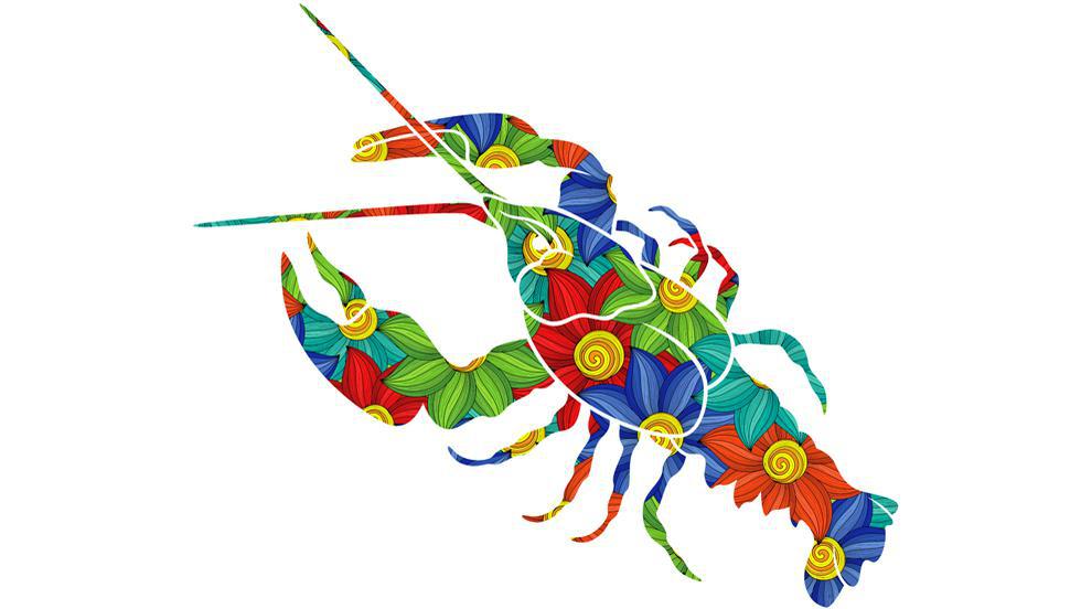 Horoscopul Lunar Noiembrie 2018 Pentru Rac Previziunile Astrale Despre Carieră și Bani Dragoste și Relații Sănătate