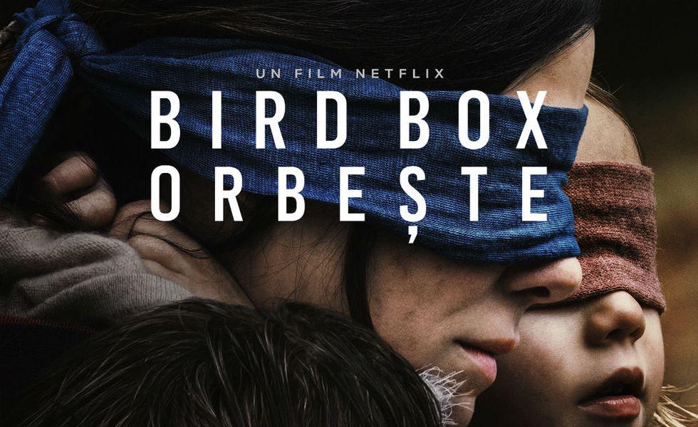 Galerie Foto Au Apărut Trailerul și Primele Imagini Din Bird Box Cu Sandra Bullock In Rolul Principal Tvmania Ro