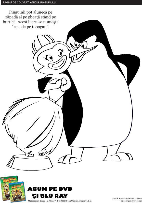 Madagascar – pinguin