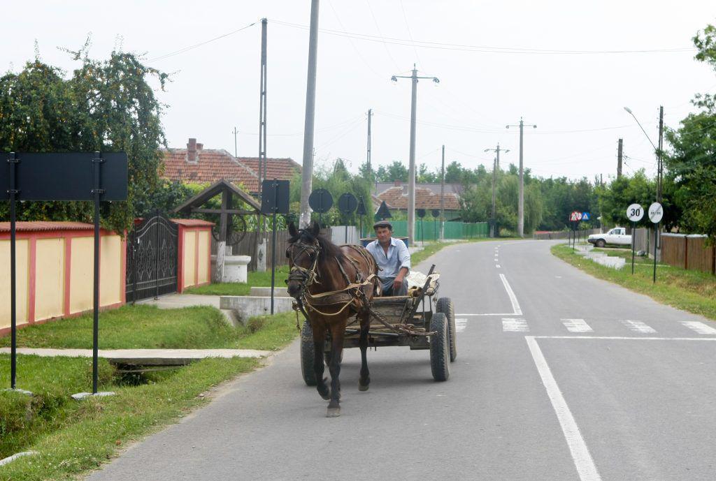 Replica unui căruțaș din Buzău care a fost atenționat de un polițist că e pe un drum public